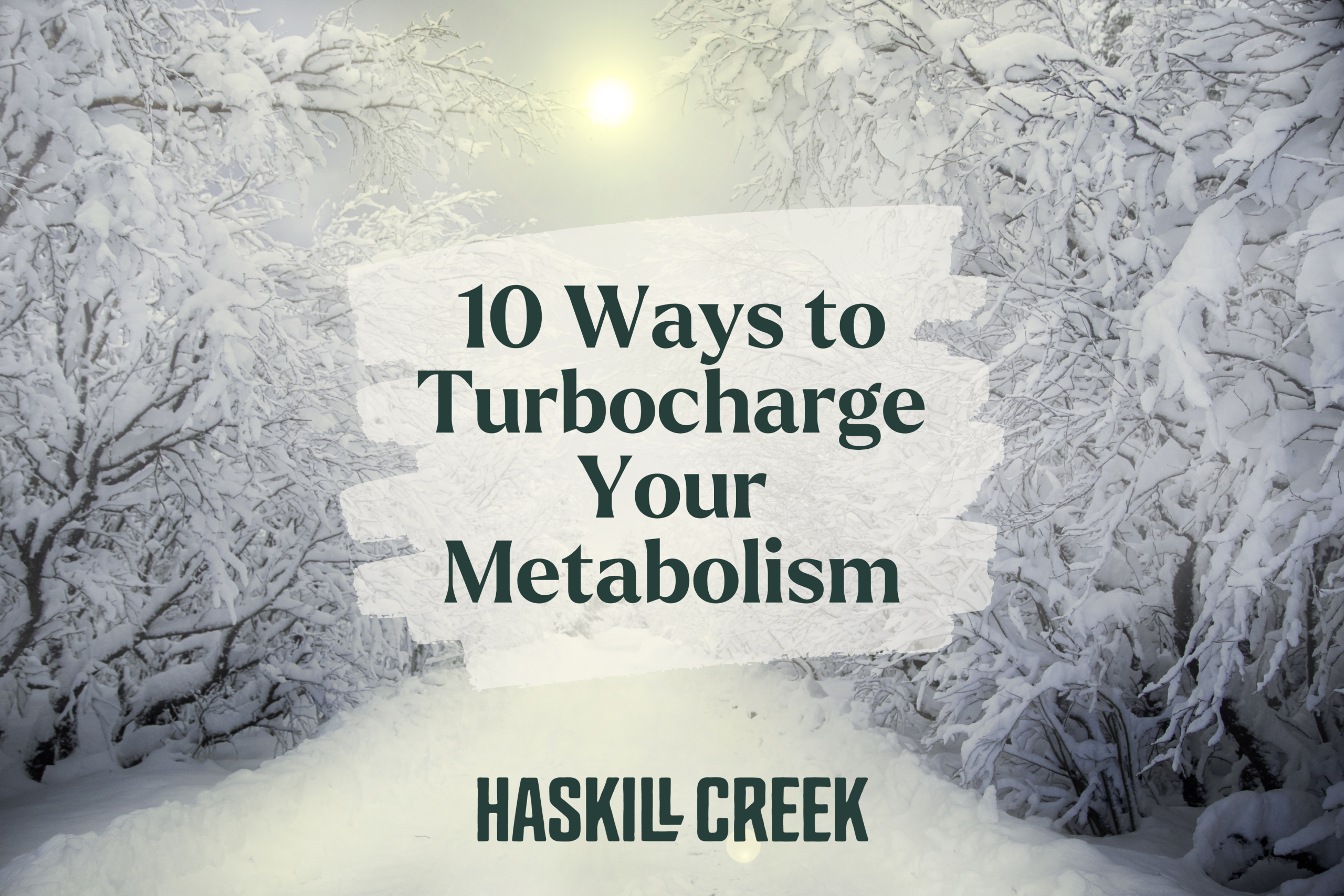 Metabolism