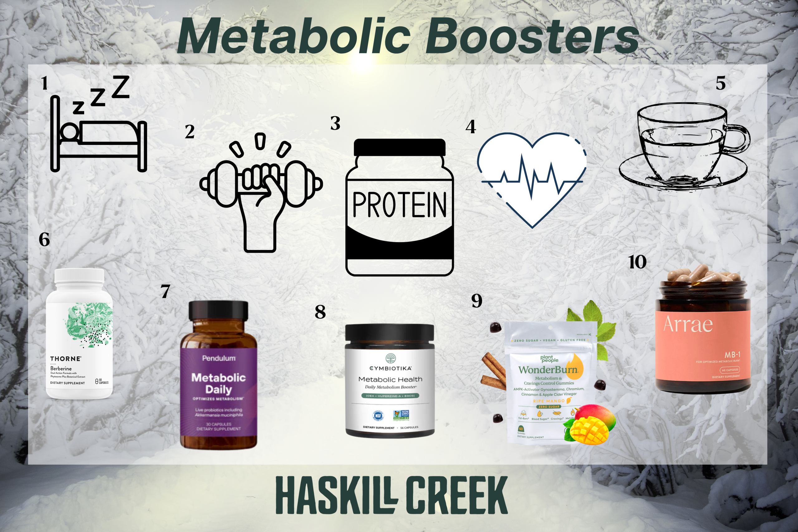 Metabolism