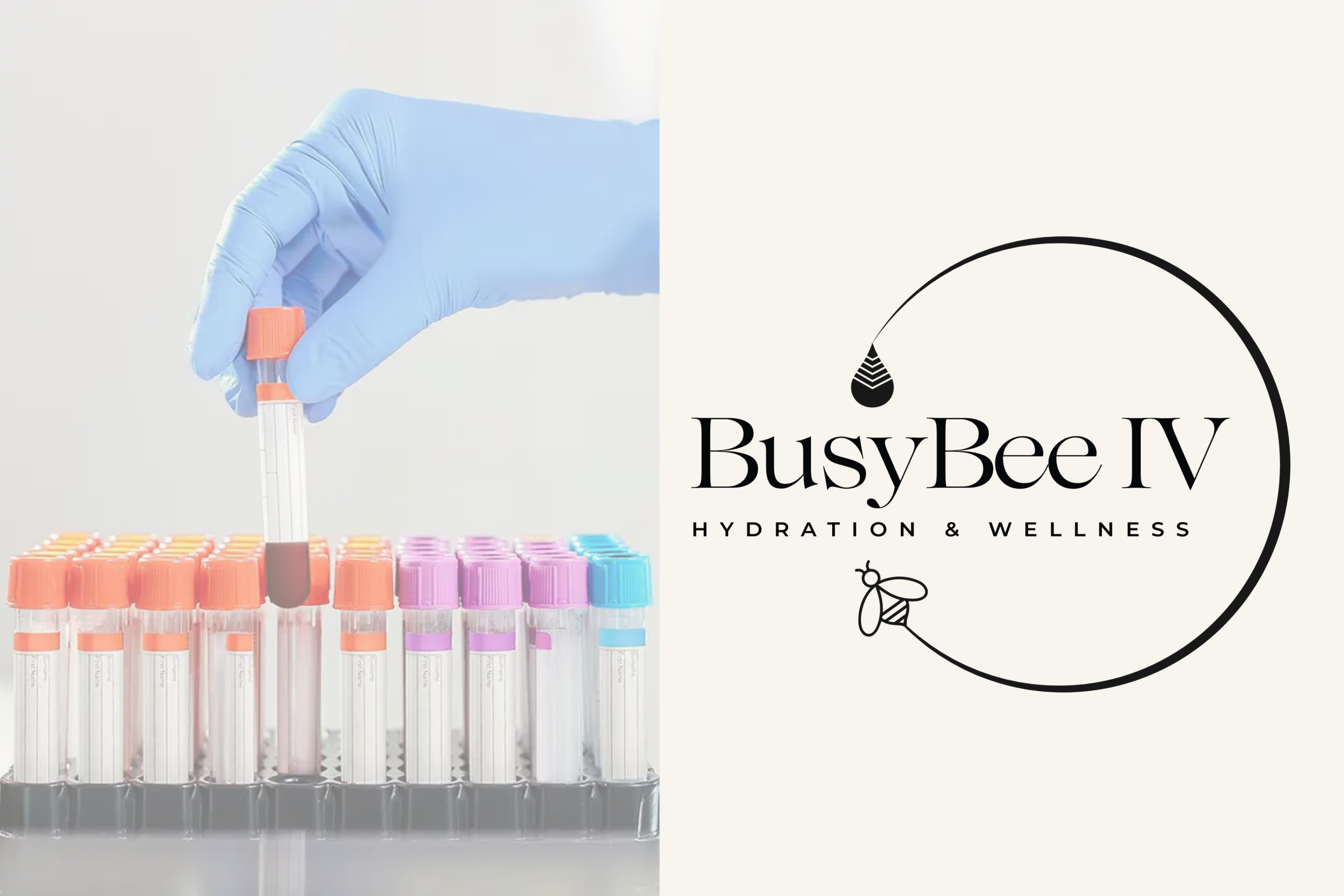 BusyBee