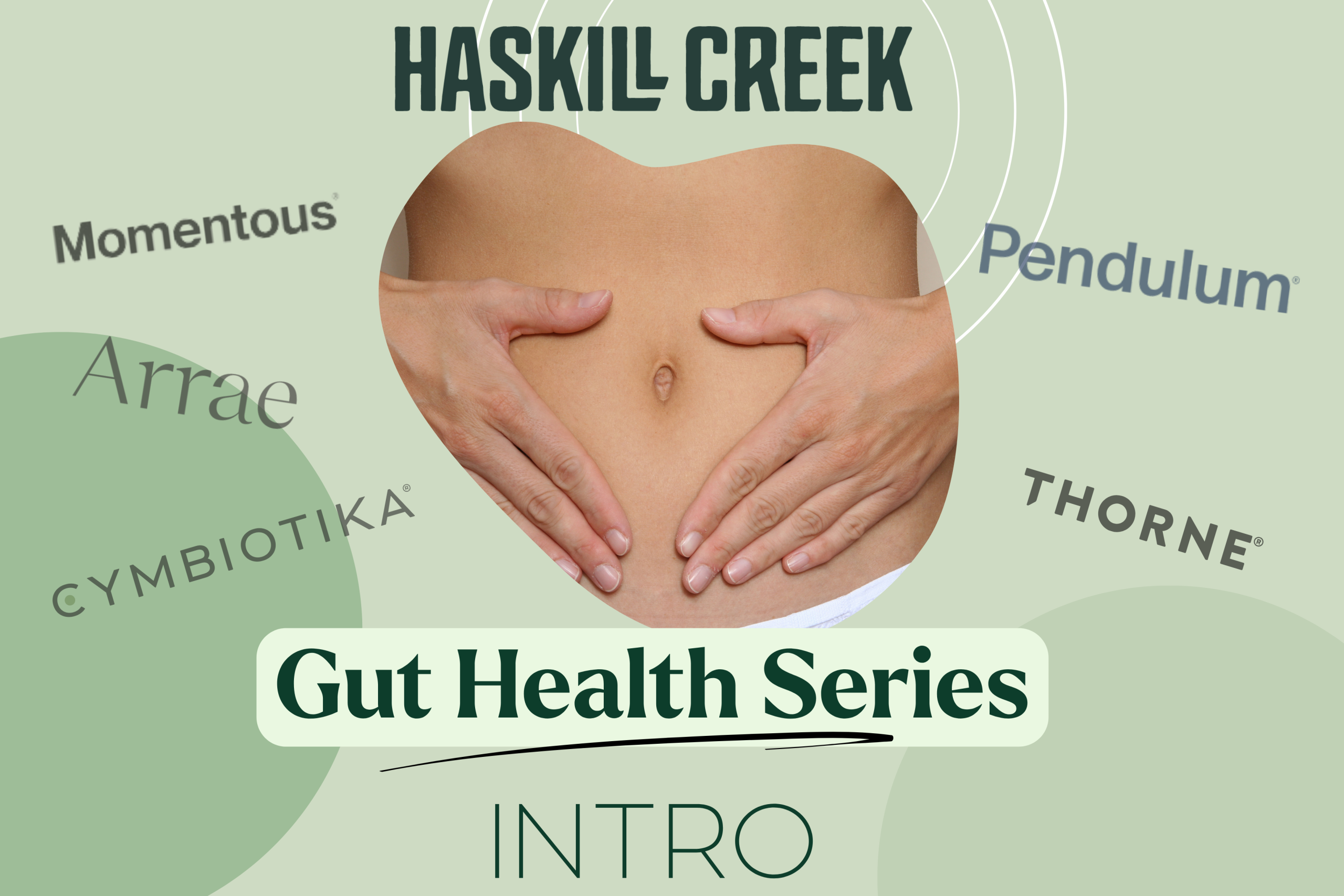 Gut