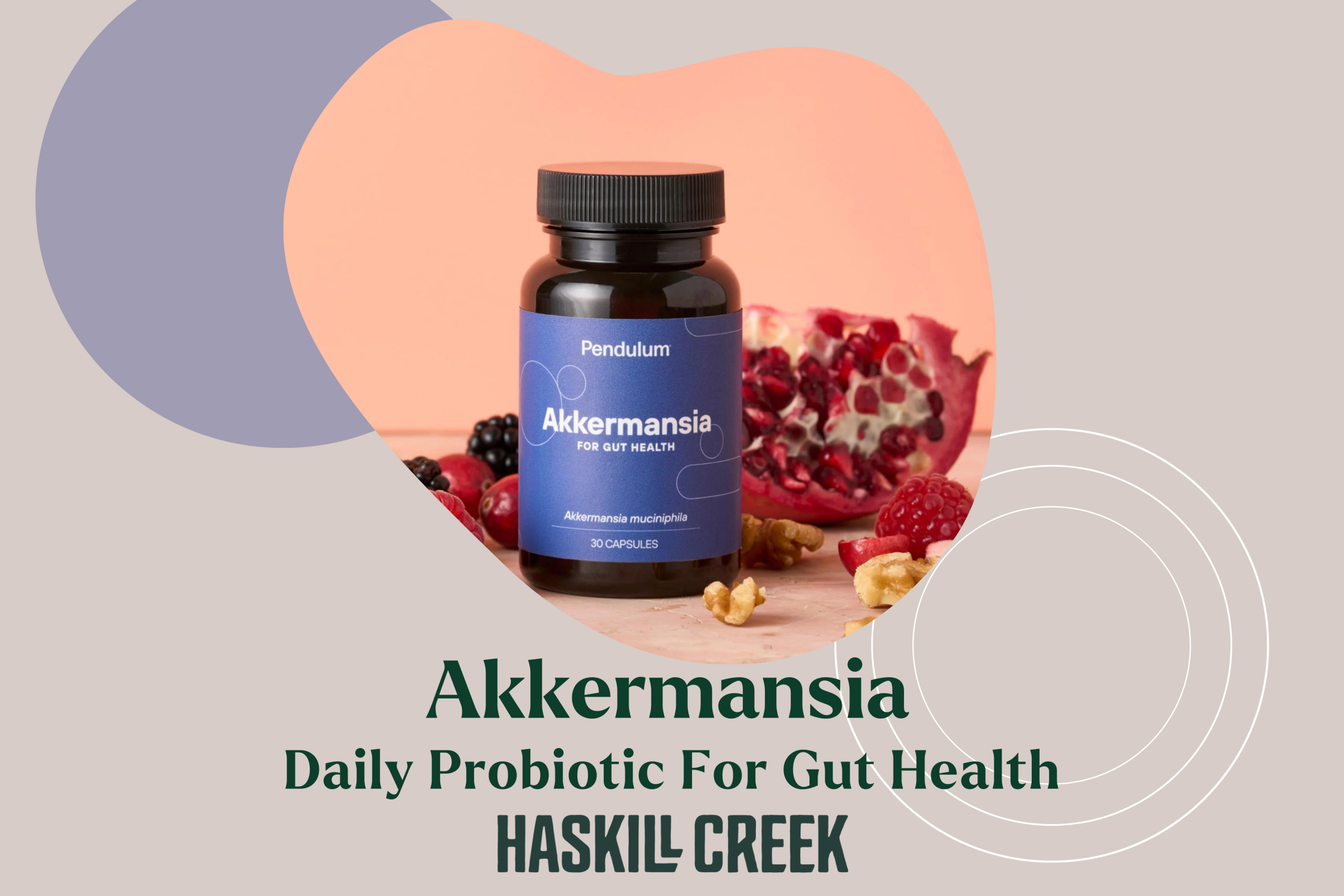 Akkermansia