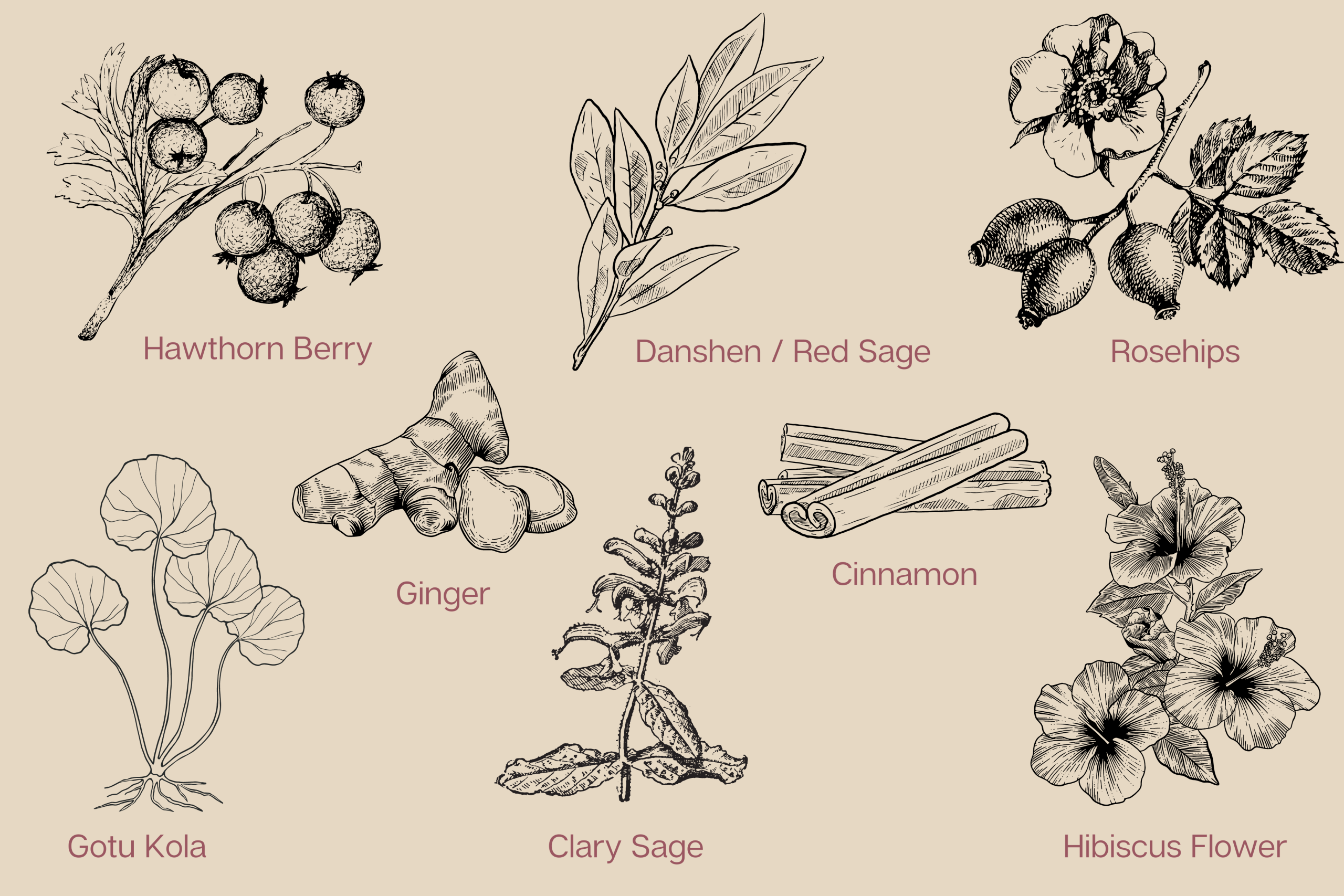Herbal