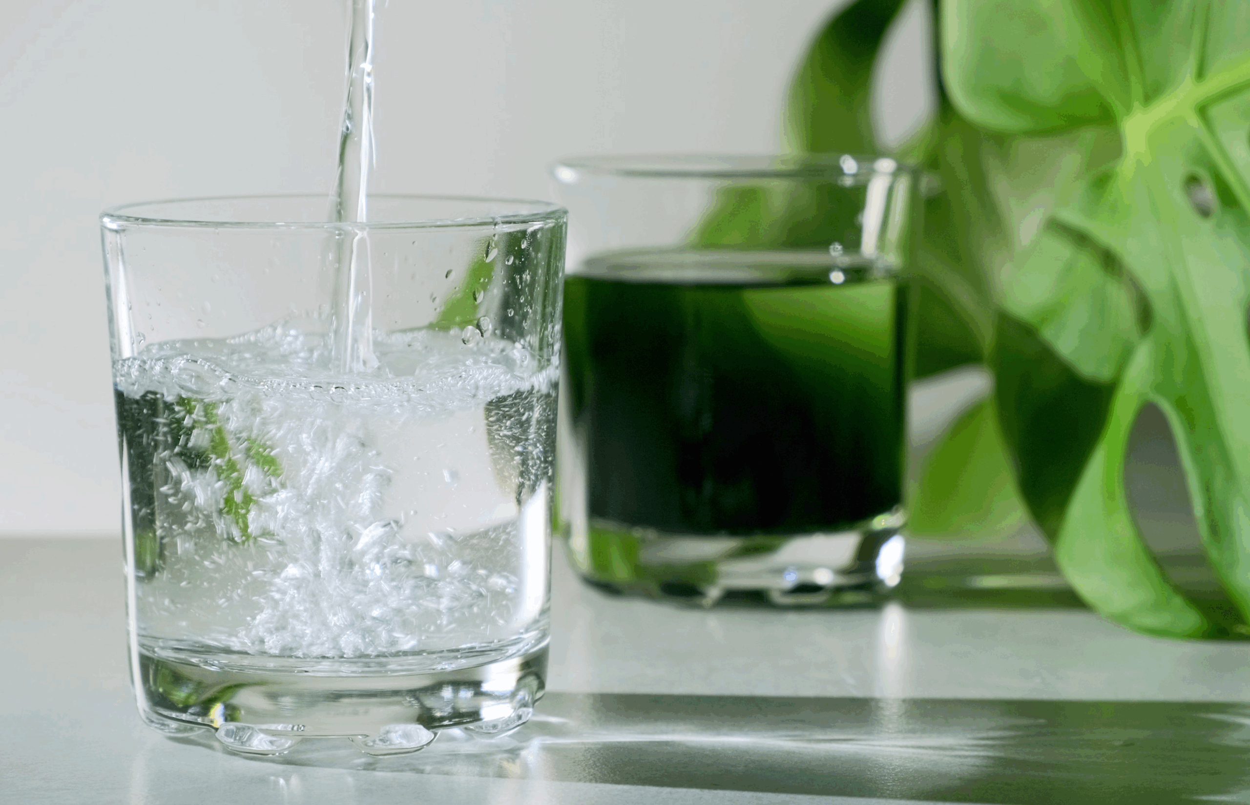 The Truth About Chlorophyll: Does This ‘Liquid Green’ Do A Body Good?