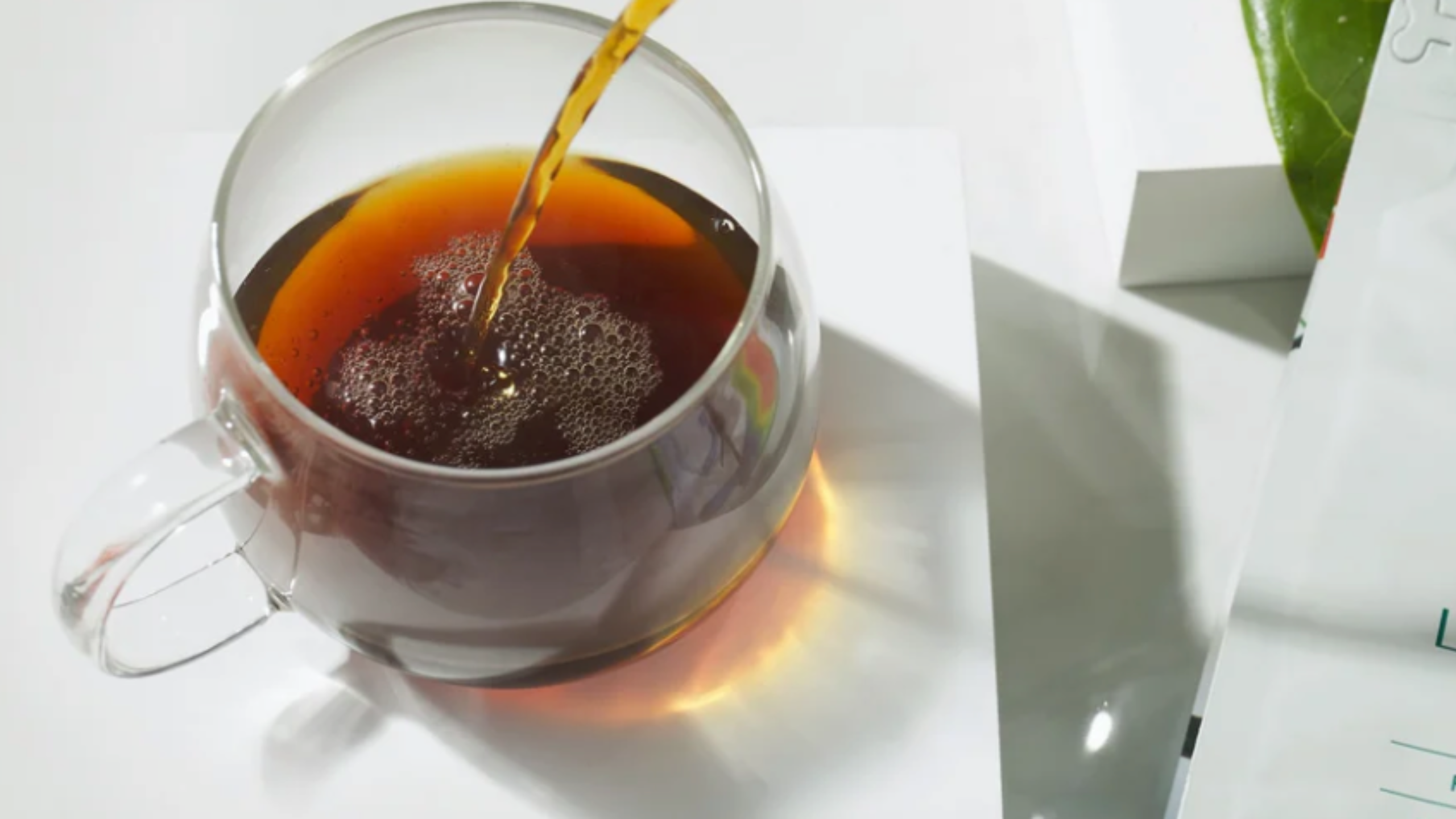 Good Energy Starts Here: Lifeboost Coffee at Our Wellness Bar