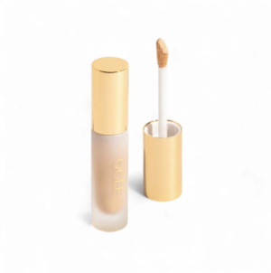 Complexion Perfecting Concealer