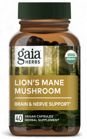 Lion's Mane Mushroom